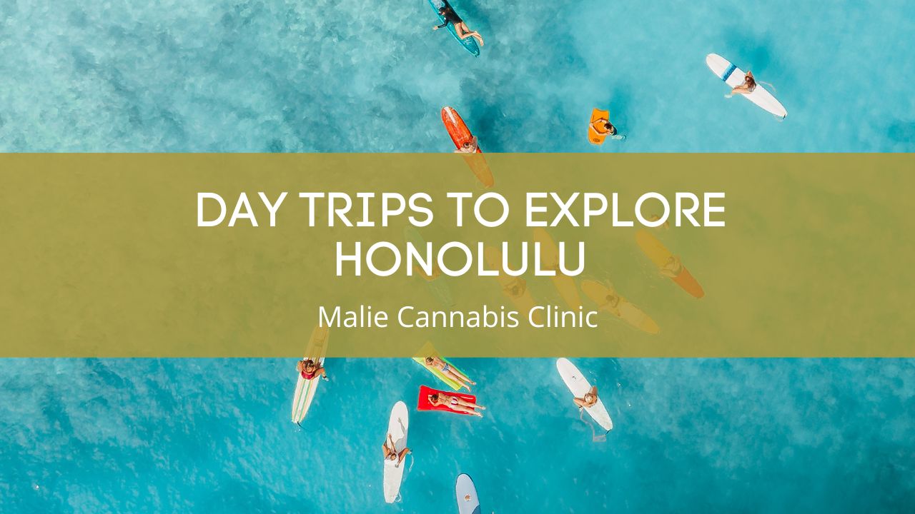 Day Trips to Explore Honolulu
